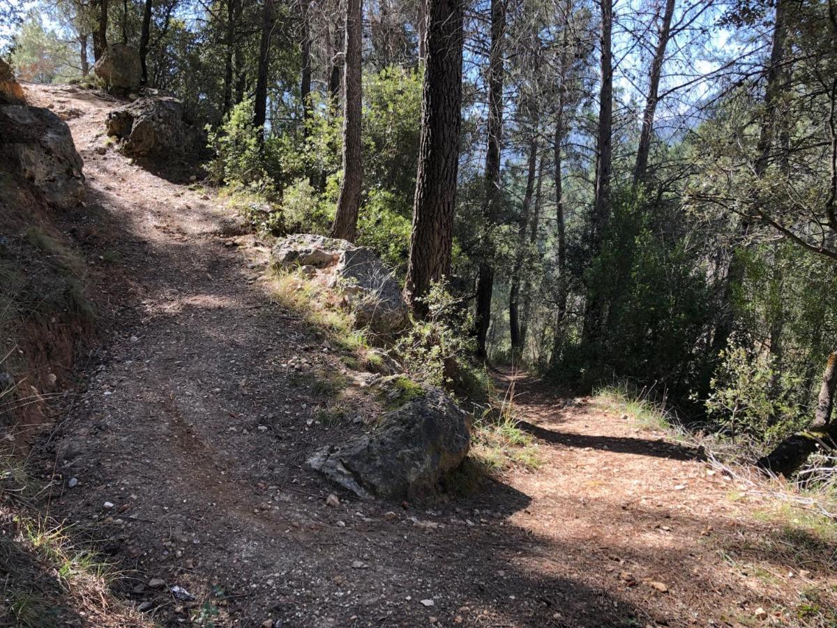 Casas Rurales Arroyo De La Sierra Yeste Εξωτερικό φωτογραφία